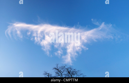 Funny cloud - real scatto panoramico Foto Stock