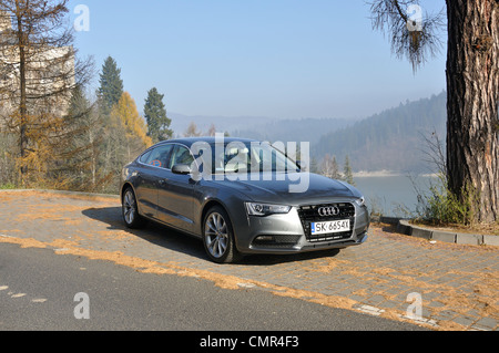 Audi A5 Sportback - il mio 2007 (FL 2012) - Premio tedesco medio-alto limousine classe segmento (D) Foto Stock