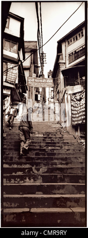 Orme in Shimla Foto Stock