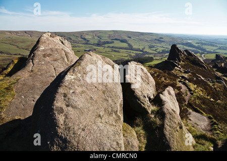 Ramshaw rocce, le blatte, Parco Nazionale di Peak District, Staffordshire, Inghilterra Foto Stock