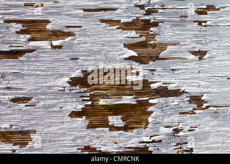 Il legno vecchio con peeling vernice bianca di sfondo texture Foto Stock