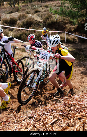 British National Mountain Bike Race Cross-Country round uno Sherwood Pines Nottinghamshire in Inghilterra. Foto Stock