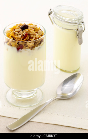 Deliziosi parfait di sana fatta con yogurt cremoso e crunchy granola o muesli Foto Stock