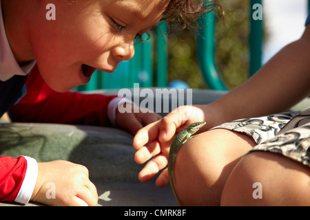 I bambini guardando lizard Foto Stock