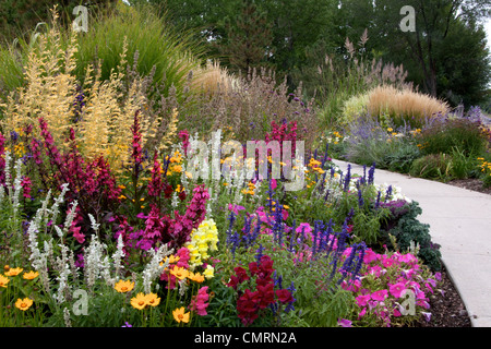 Una colorata miscelata letto floreale Foto Stock