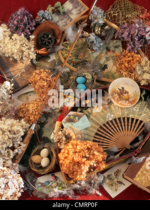 Nostalgica vita ancora con la canna da pesca e uccelli' NIDI Foto Stock