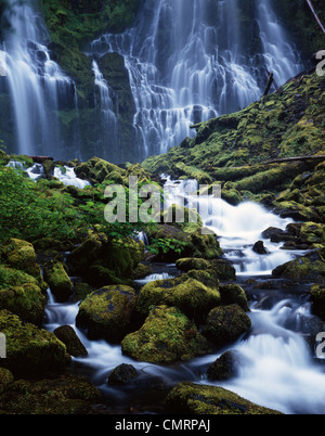 PROXY inferiore cade WILLAMETTE NATIONAL FOREST NORTHEAST LANE COUNTY OREGON Foto Stock