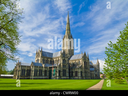 Cattedrale di Salisbury nella Cattedrale vicino Salisbury Wiltshire Inghilterra Regno Unito Europa Foto Stock