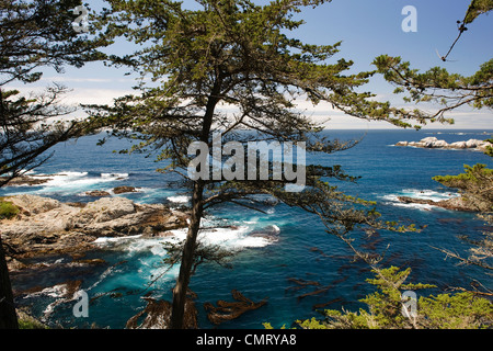 Carnel California con scenic fronte mare e le scogliere Foto Stock