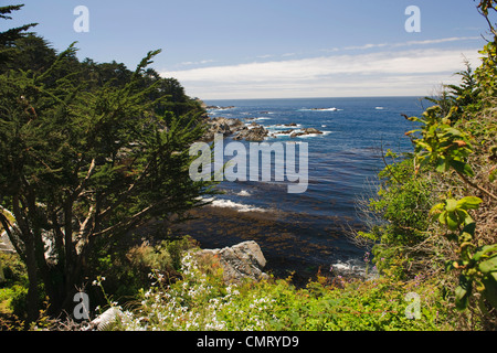 Carnel California con scenic fronte mare e le scogliere Foto Stock