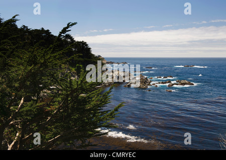 Carnel California con scenic fronte mare e le scogliere Foto Stock