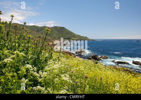 Carnel California con scenic fronte mare e le scogliere Foto Stock