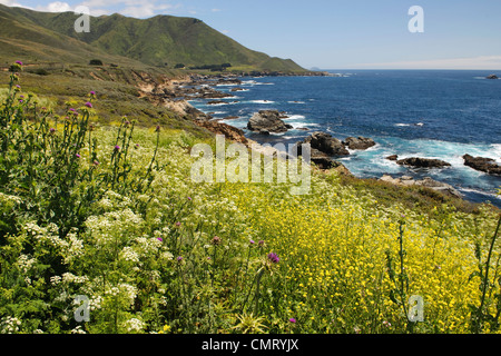 Carnel California con scenic fronte mare e le scogliere Foto Stock