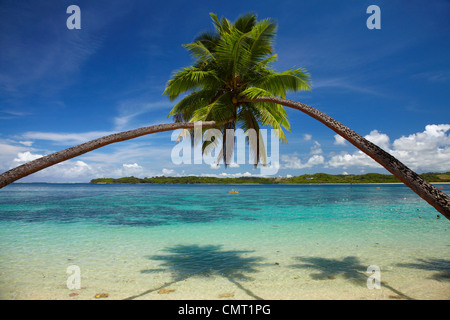 Gli alberi di palma, Shangri-La Resort Fijiano, Yanuca Island, Coral Coast, Viti Levu, Figi e Sud Pacifico Foto Stock