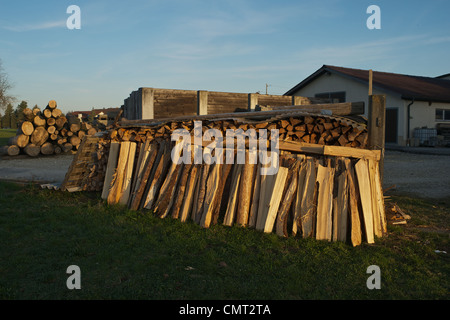 Spaccare la legna in piedi di fronte a un palo di legno al sole del mattino Foto Stock