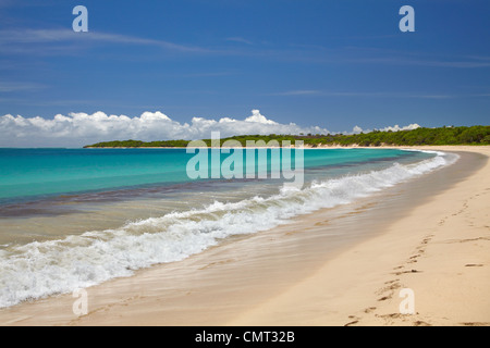 Natadola Beach, il litorale di corallo, Viti Levu, Figi e Sud Pacifico Foto Stock