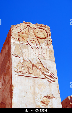 Tempio di Hatshepsut numero 3082 Foto Stock