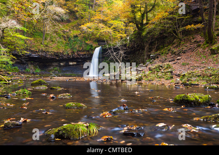 Sgwd Gwladys cascata Glyn Neath, Parco Nazionale di Brecon Beacons, POWYS, GALLES, Europa Foto Stock