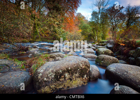 Fiume Dart in autunno, Parco Nazionale di Dartmoor, Devon, Inghilterra sudoccidentale, Europa Foto Stock