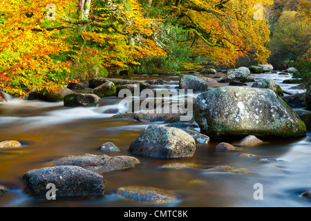 Fiume Dart in autunno, Parco Nazionale di Dartmoor, Devon, Inghilterra sudoccidentale, Europa Foto Stock