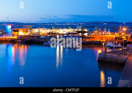 Brixham Harbour, Devon, Inghilterra, Regno Unito, Europa Foto Stock