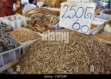 Sri Lanka - Colombo, essiccato e pesce salato al mercato Foto Stock