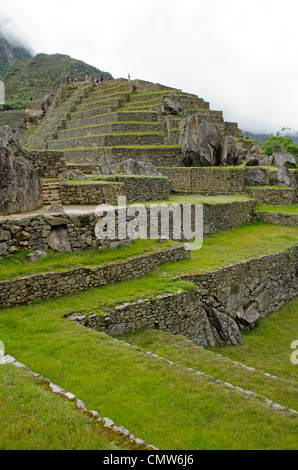 Terrazzamenti agricoli a Machu Picchu, Perù Foto Stock