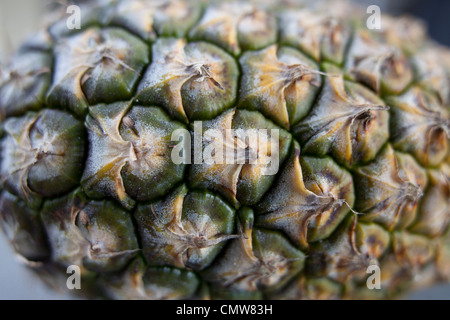 Ananas Foto Stock