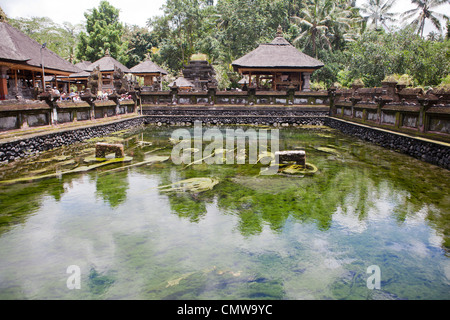 Parte dell'Tirtal Empul temple a Bali, in Indonesia Foto Stock