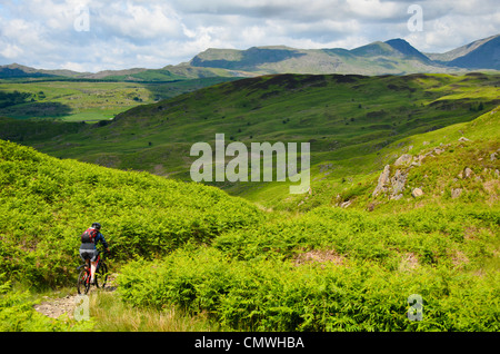 Femmina mountain biker scendendo una traccia su Blawith Fells nel sud del distretto dei laghi Foto Stock