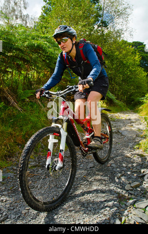 Femmina mountain biker su un bridleway in Grizedale Forest nel distretto del Lago Foto Stock