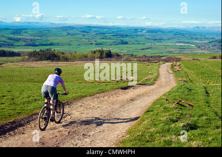 Femmina mountain biker decrescente Caton Moor sopra Hornby nel lune Valley, vicino a Lancaster, Lancashire Foto Stock