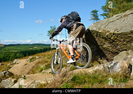 Cavaliere a scopo costruito mountain bike trail a Gisburn Forest Lancashire Foto Stock