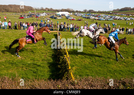 Isola di Wight in Inghilterra UK, Ryde, abside Heath, Scurry, Grand National Foto Stock