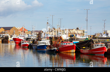 Barche da pesca nel porto di Howth in estate, nella contea di Dublino, Irlanda. Foto Stock