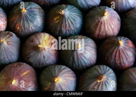 Una chiusura di fichi maturi in un vassoio Foto Stock