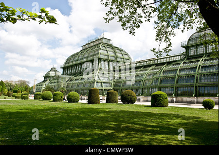 Botanical Dahlem a Berlino, Germania. Foto Stock