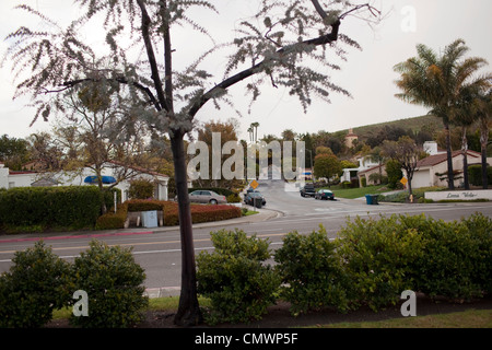 Un terreno paesaggistico di strada in un quartiere residenziale di San Juan Capistrano, California rimane umida in seguito ad una tempesta di pioggia. Foto Stock