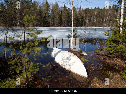 Isolato capovolto barca a remi a bordo di un piccolo lago forestale è stato allagato da Spring Thaw , Finlandia Foto Stock