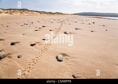 Single mountain bike gomma via lungo una spiaggia remota in Galles Foto Stock