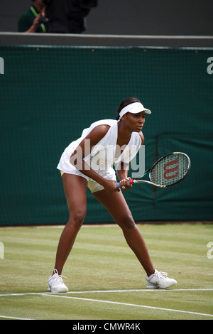 Venus Williams (USA) si prepara a tornare servire nel secondo round del Torneo di Wimbledon Tennis Championships 2011 Foto Stock