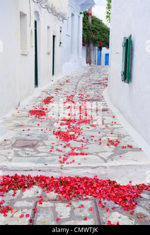 Caduto il bougainvillea petali in un vicolo del villaggio di Chora, sul Greco Cyclade isola di Amorgos. Foto Stock