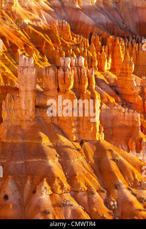 Le formazioni rocciose - Hoodoos, al tramonto, Punto di Bryce Canyon National Park nello Utah Stati Uniti d'America Foto Stock