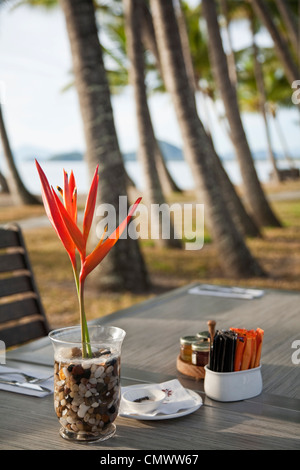 Ristorante sulla spiaggia a lontani orizzonti ristorante. Palm Cove, Cairns, Queensland, Australia Foto Stock