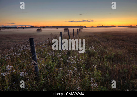 Estate Sunset over-nebbia pascoli coperti, central Alberta Foto Stock