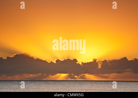 Tramonto sul mare di corallo. Kewarra Beach, Cairns, Queensland, Australia Foto Stock