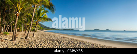Palme da cocco sulla spiaggia all'alba con doppio isola in background. Kewarra Beach, Cairns, Queensland, Australia Foto Stock