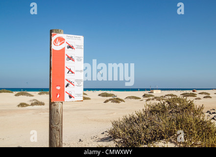 Kitesurfisti su Flag Beach nel Parque Natural de Las Dunas de Corralejo a Fuerteventura, Isole canarie, Spagna. Foto Stock