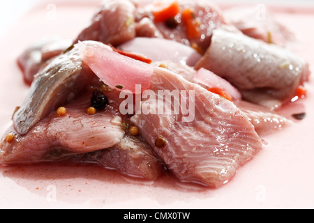 Aringhe salate in piastra, close up Foto Stock