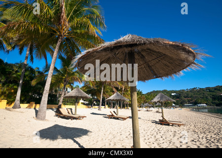 Lettini da sole e ombrelloni sulla Spiaggia Catseye. Hamilton Island, Whitsundays, Queensland, Australia Foto Stock